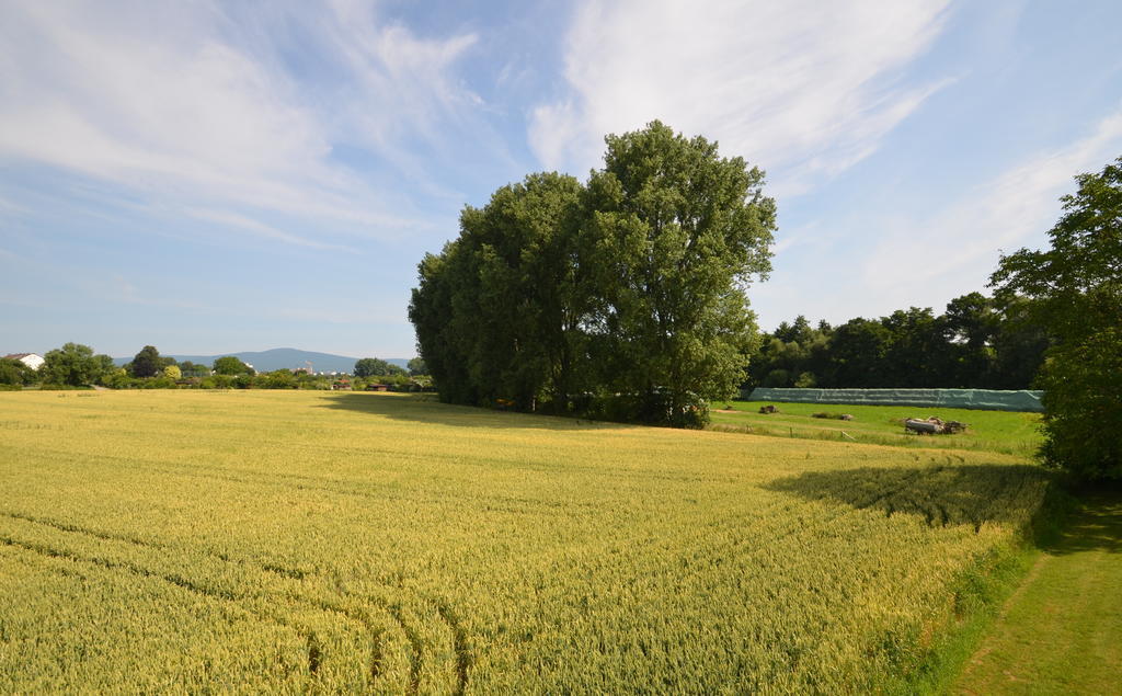 Landhotel Sulzbacher Hof Sulzbach  Luaran gambar